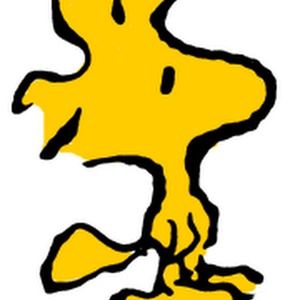 Meet your Posher, Nicolas